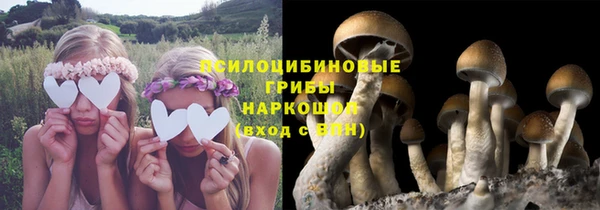 ешки Магас
