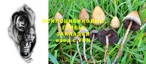 ешки Магас