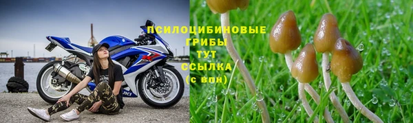 ешки Магас