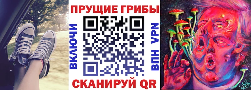 Галлюциногенные грибы мухоморы  Фатеж 